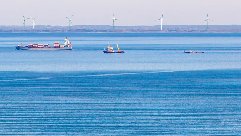 Das Schiff "Fortuna B" (M.) zieht am Mittag vor Fehmarn die Barge mit dem gestrandetem Wal (Luftaufnahme mit einer Drohne). Foto: Bodo Marks/dpa