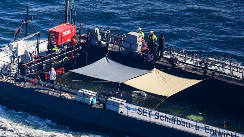 Der Buckelwal wird in seiner Barge vom Schlepper Fortuna B entlang der dänischen Küste in Höhe Aarhus in Richtung Nordsee durch die Ostsee gezogen, die Robin Hood begleitet den Konvoi weiterhin.(Luftaufnahme aus Flugzeug) Foto: Christoph Reichwein/dpa