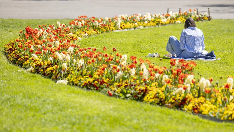 Der April brachte kaum Regen, dafür umso mehr Sonnenschein mit sich. (Archivbild)