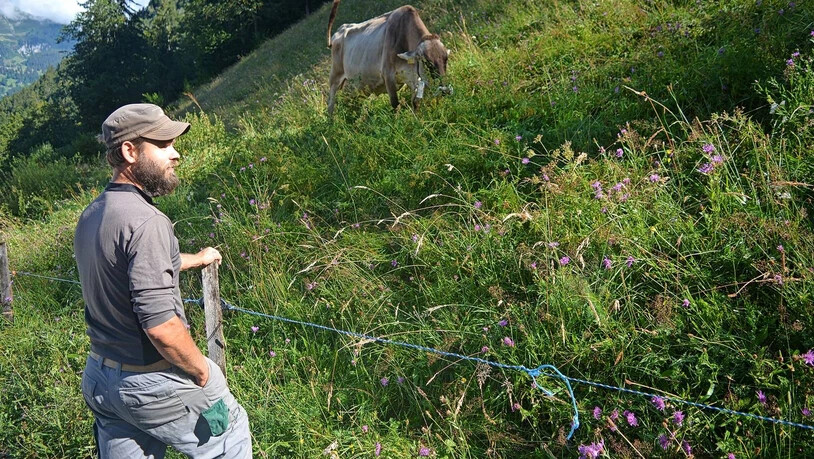 Wäre bereit: Älpler Martin Zimmermann wartet nur noch darauf, bis das Gras so hoch wie auf dem Bild im vergangenen Jahr gewachsen ist.