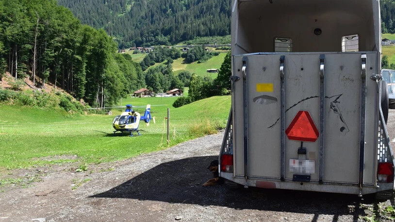 Arbeitsunfall: Eine 26-jährige Frau hat sich am Dienstag beim Entladen einer Kuh schwer verletzt.