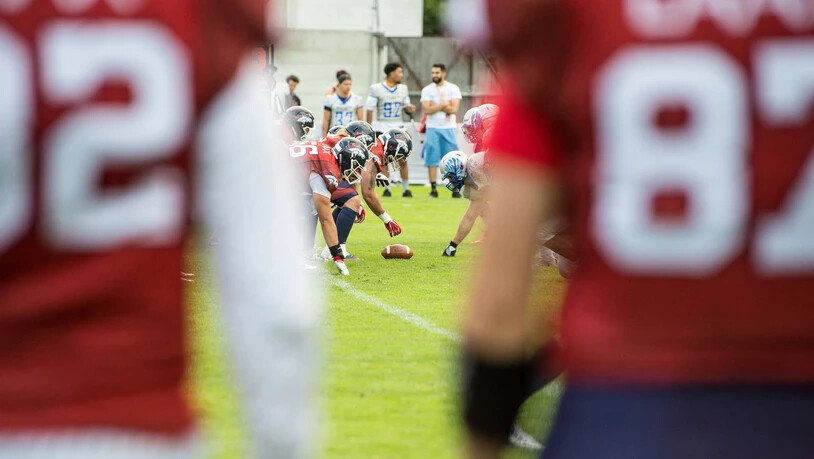 American Football ist, wenn am Ende die Broncos gewinnen: Seit Jahren dominieren die Bündner die Szene. 