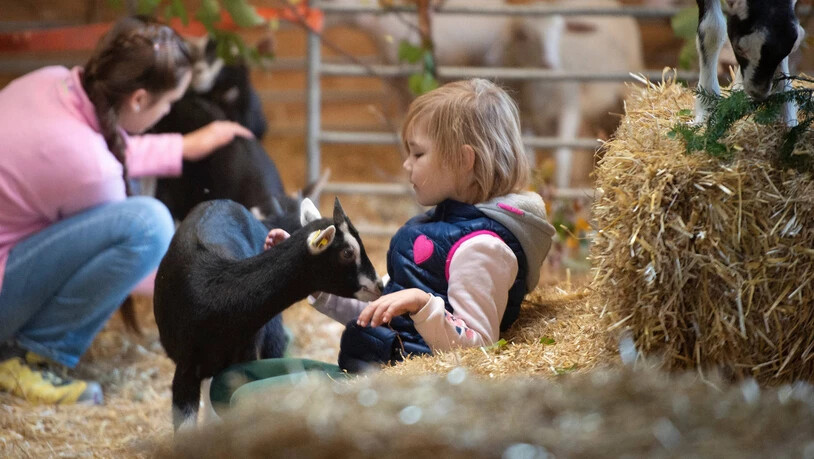 Auf dem Programm stehen auch dieses Jahr wieder zahlreiche Attraktionen für Kinder.