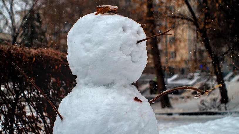 Ein Schneemann braucht Arme! Dafür eignen sich Äste und Zweige hervorragend.