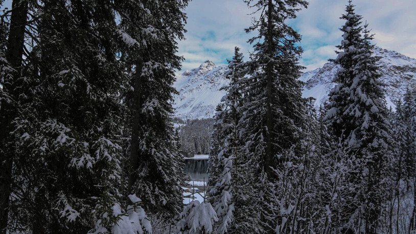 Malerischer Ausblick: Der Obersee ist vom «Eichhörnliweg» immer wieder mal zu sehen.