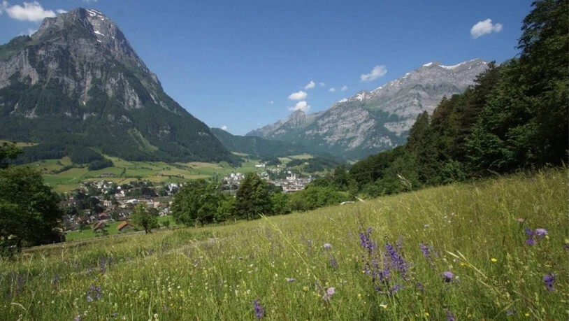 Die «Ökologische Infrastruktur» lässt bis 2040 ein Netzwerk für die Biodiversität entstehen. Wie hier zwischen Ennetrösligen nach Glarus mit einer artenreichen Trockenwiese am Waldrand.