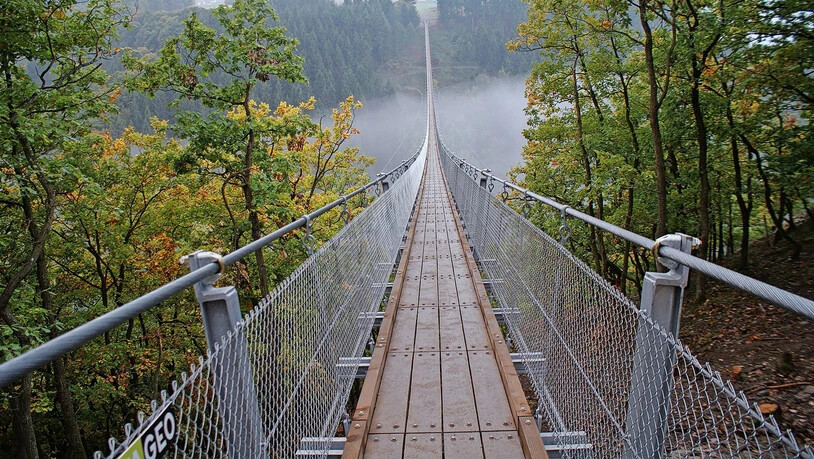 Grosse Pläne: Ein Bauwerk wie die Hängeseilbrücke Geierlay in Deutschland soll in Indonesien entstehen.