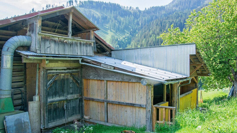 Zuhause: In diesem Stall hausen die beiden Lamas und im Winter auch die Damhirsche.