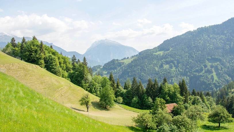 Fantastische Aussicht: Von «Beni’s Hirschfarm» in Arezen sieht man bis zum Calanda.