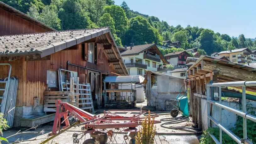 Winterbleibe: In den Wintermonaten leben die Yaks und Kühe von Gruober auf seinem Hof in Klosters Dorf.