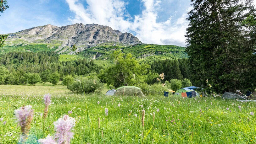 Festival in der Idylle: Das Openair Rheinwald ist «heimelig & persönlich» mit einer Wohlfühl-Atmosphäre am Hinterrhein.