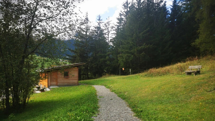 In den Wald hinein: Ein Schauplatz in Savognin befindet sich beim Spielplatz Lareschs.