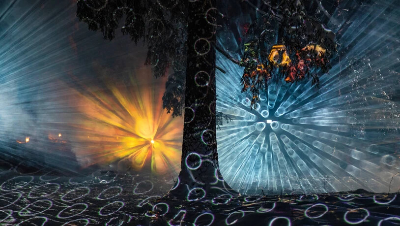 LED-Kunst: Die Lichtinstallation Artifical Owl verzauberte 2021 die Besucher des Zauberwalds auf der Lenzerheide.
