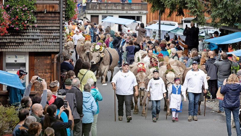 Farbenfroh geschmückte Kühe: Neben der Blumenpracht trugen die Kühe am Elmer Chäsmärt auch ein schwarzes Trauerband. Damit soll an die Tiere gedenkt werden, die vom Wolf gerissen wurden. 