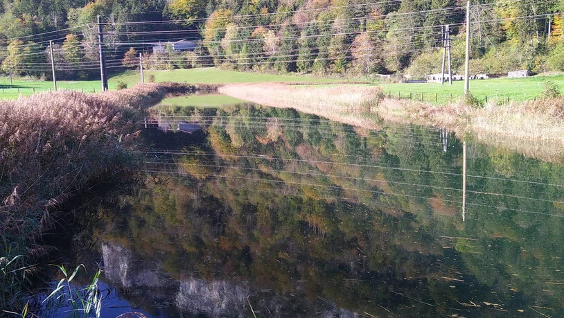 Judith Sandmeiers Bild zeigt den Tankgraben in Näfels.