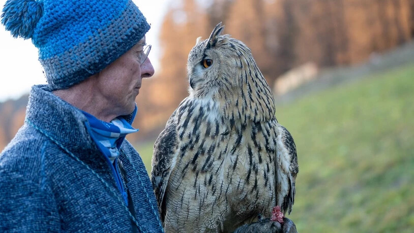 Das etwas andere Haustier: Werner Fischer hält seit über fünf Jahren einen Uhu.