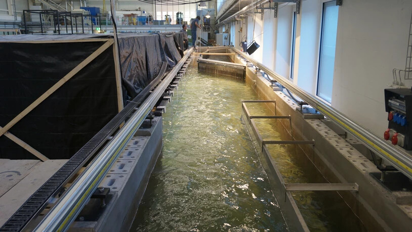 Entwicklung im Labor: Forschende bauen an der der Versuchsanstalt für Wasserbau, Hydrologie und Glaziologie an der ETH den neu gestalteten Fischleitrechen und einen seitlichen Bypasskanal und beobachten die Wanderung der Fische den Fluss hinunter.