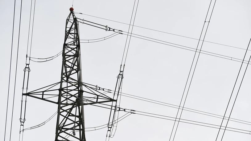 Nach Holzerarbeiten: Auf dem Kerenzberg ist es zu einem anderthalbstündigen Stromausfall gekommen.