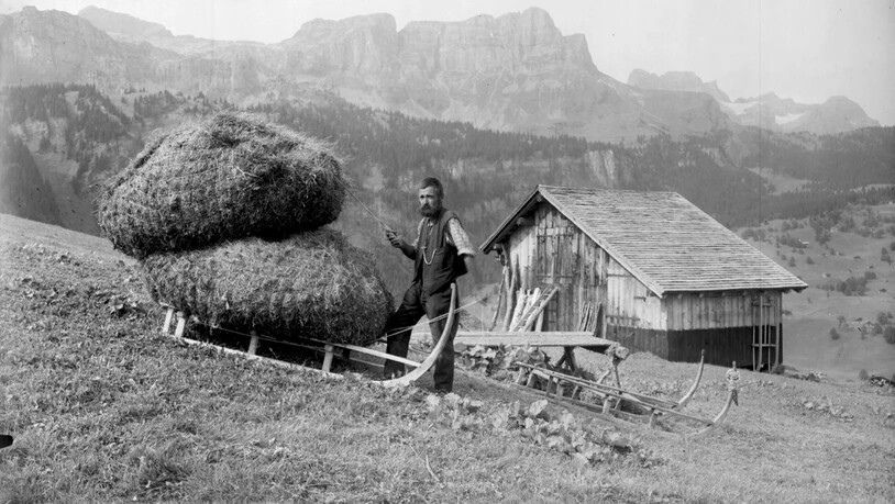 Schönwetter-Motiv: Früher transportierten die Älpler das Heu mit Hornschlitten.