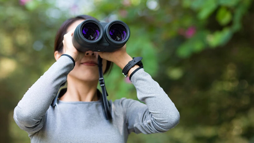 Nationale Vogelzählung: Jede und jeder Interessierte kann an der Zählung teilnehmen. 