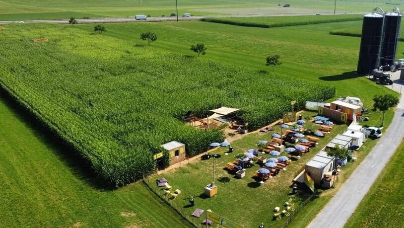 Das Labyrinth 2022: Neben dem Irrgarten gibt es auch ein Spielplatz und ein  Beizli, das zum Verweilen einlädt.
