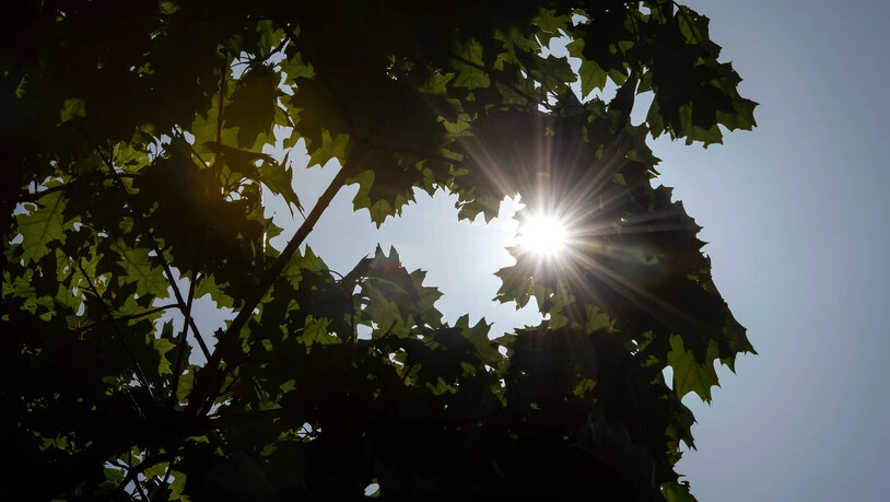 Der laufende Sommer ist viel zu warm, auch in Graubünden vielerorts 2,5 bis 3 Grad.  

