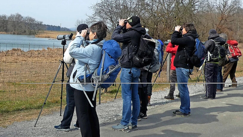 Der Feldornithologiekurs: Vögel beobachten ist auch ein gemeinsames Erlebnis.