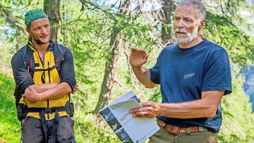 Anschauliche Erläuterung: Martin Kreiliger, Geschäftsführer des Bergwaldprojekts, erklärt im Cröter Arvenwald, was die Freiwilligen geleistet haben, während Landwirt Martin Patzen zuhört. 