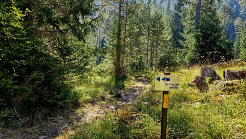 Unverkennbar: Der Geruch der Schwefelquelle erinnert an faule Eier und lässt sich schon von Weitem einfangen.