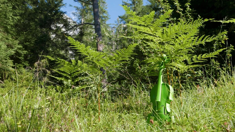 Suchbild in der Waldwiese: Das Flimsfestival mit einem seiner Markenzeichen – dem grün eingefärbten Instrument – findet immer wieder neue Auftrittsorte.