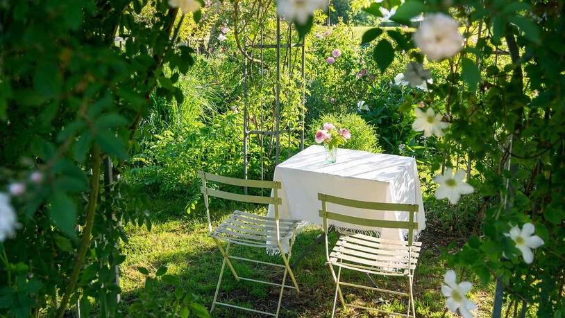 Ein Blick hinter das Gartentor: Über den Sommer könnt ihr verschiedene Gärten erkunden.