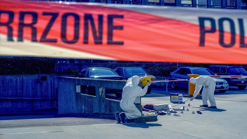 Der Fall eines gestohlenen Gemäldes: Als Kommissarin oder Kommissar der Kantonspolizei übernehmt ihr die Ermittlungen.