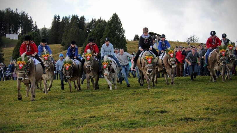 Die Kühe sind los und auch ihre Reiterinnen: Kuhreiter sucht man bei diesem Anlass allerdings vergeblich. Nur Frauen dürfen an den Start.