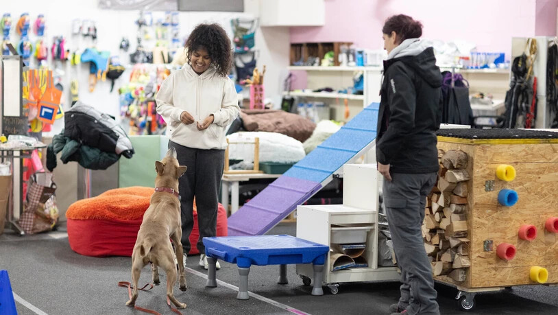 Sanjali schnuppert als Hundetrainerin. 