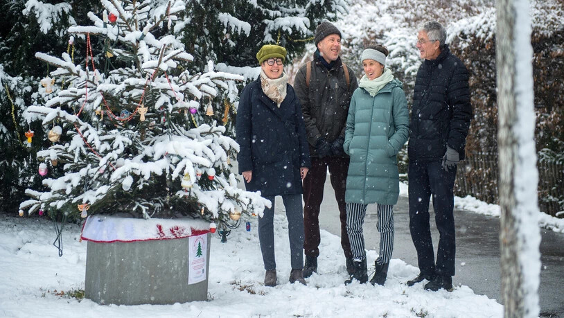 Ein Gemeinschaftswerk: Gabi Schneider, Richard Walder, Maria Pertschy und Raimund Hächler (von links) posieren neben dem von Quartierbewohnern geschmückten Christbaum an der Unteren Plessurstrasse in Chur, 
