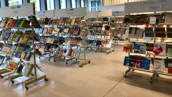 Die Ausstellung des Lehrmittelverlags ist seit Anfang Jahr im Somedia-Medienhaus.