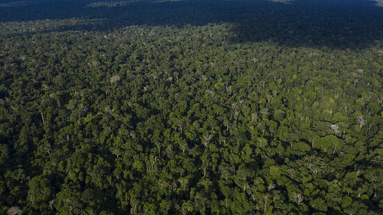 Der Tumucumaque-Nationalpark ist das grösste Urwaldschutzgebiet der Welt. Er soll nun für den Ökotourismus geöffnet werden. (Archivbild)