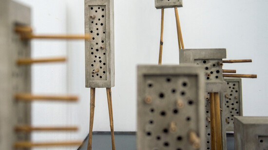 Häusern gleich: Huber/Huber zeigen in der Galerie Luciano Fasciati auch Werke aus ihrer Serie «Bienenarchitektur».