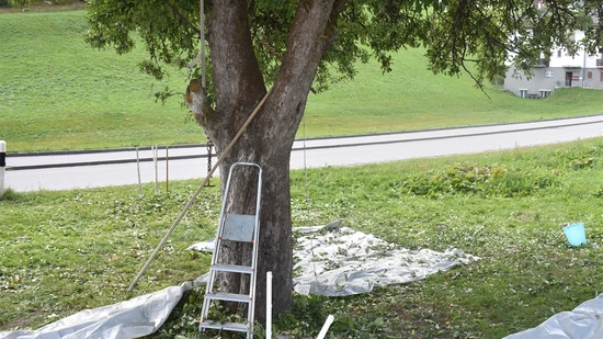 Die Unfallstelle 