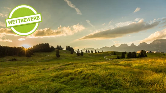 Am Flumserberg Open Air 2019 gibts nicht nur etwas für die Ohren sondern auch ein tolles Panorama