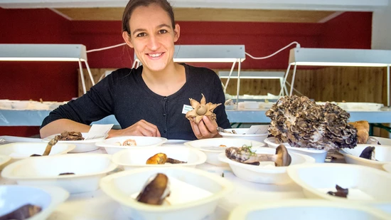 Ausgewiesene Pilzexpertin: Marionna Schlatter.