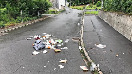Mitternachts-Snack für Tiere: Wenn der Mensch schläft, wagen sich Wildtiere in die Dörfer und reissen Abfallsäcke auf.