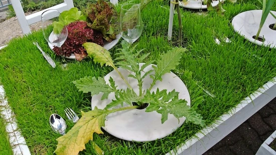 Die Installation von Max Bottini mit Blick auf den Zürichsee verdeutlicht, wie Lebensmittel Zeit zum Wachsen brauchen.