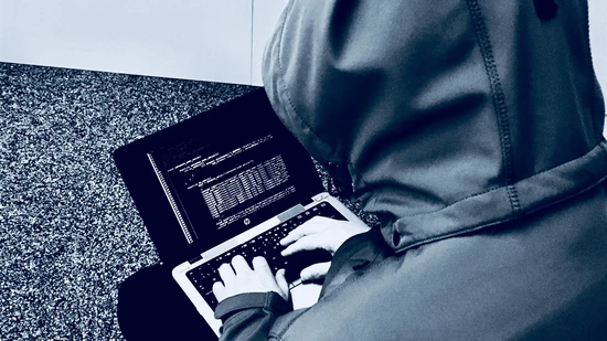 In Graubünden wurden 25 Personen durch betrügerische Online-Tradingplattformen geschädigt.