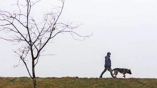 Begegnungen im Nebel: Unser Fotograf Sasi Subramaniam war im Glarnerland unterwegs.