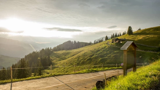 Die Schweizer Berghilfe setzt sich für Menschen und Projekte in den Schweizer Bergen ein. 