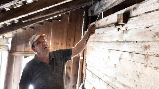 «Das ist echte Zimmerarbeit»: Bauleiter Roger Fischli ist beeindruckt von der Arbeit seiner Vorgänger.