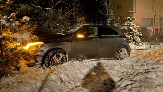 Von der Strasse abgekommen: Das Auto des alkoholisierten 25-Jährigen bleibt in einem Gebüsch in Lenzerheide stecken.