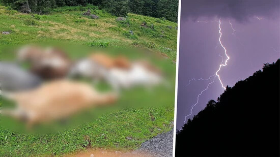 Blitzeinschlag: Über der Alp Lärchenbödeli ob Flums entlädt sich vor einer Woche ein starkes Gewitter, wobei zehn Kühe getötet werden.