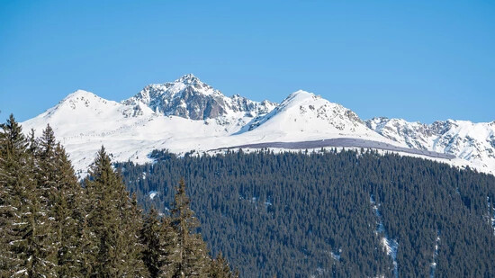 Neues Projekt auf dem Berg: Angrenzend an das Skigebiet auf Madrisa soll eine alpine Solaranlage gebaut werden.